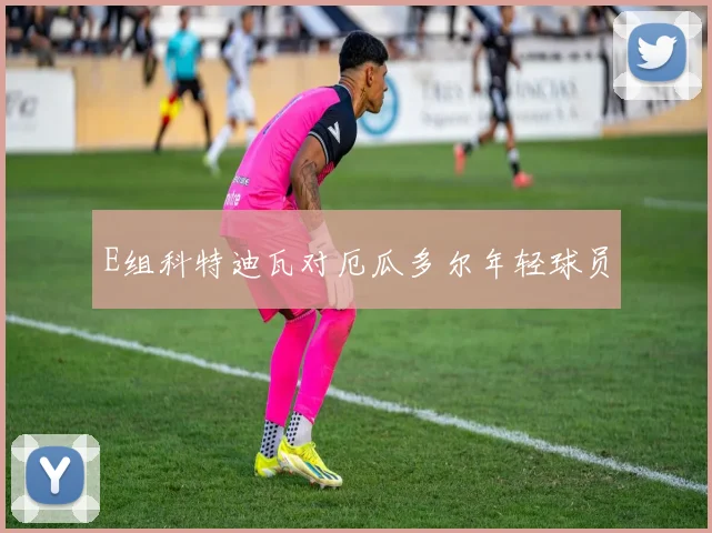 E组科特迪瓦对厄瓜多尔年轻球员