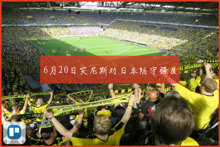 6月20日突尼斯对日本防守强度